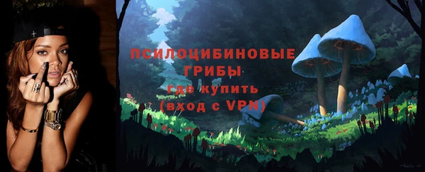 мдпв Волоколамск