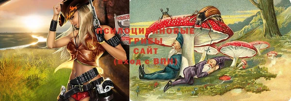 гидра Волосово