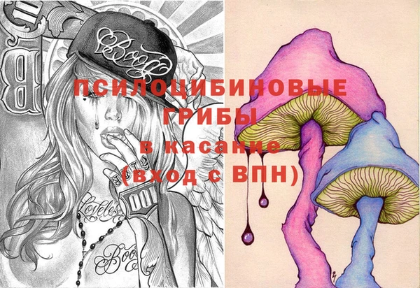 мдпв Волоколамск