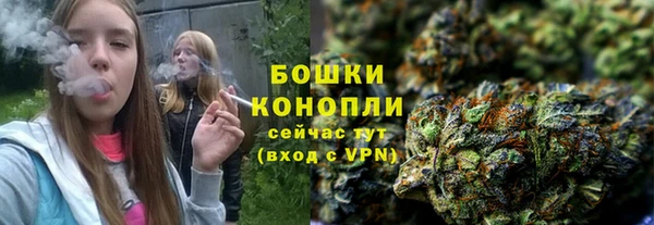гидра Волосово