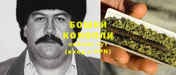 гидра Волосово