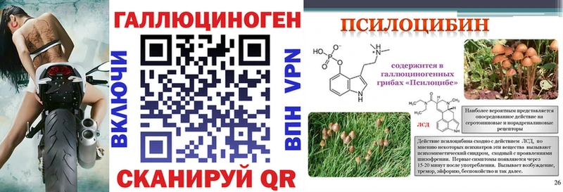 Галлюциногенные грибы Cubensis  Купить  Покровск 